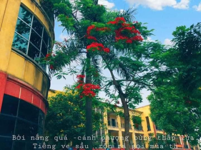 Thông báo về kết quả thi tuyển lao động hợp đồng năm 2026
