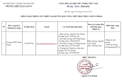 Thông tin thiết lập đường dây nóng tiếp nhận phản ánh vi phạm